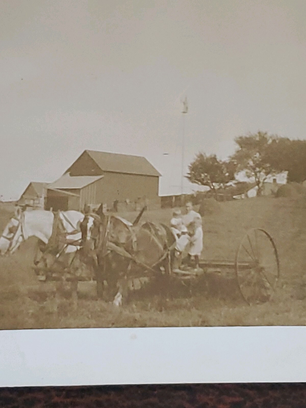 Vntg 1890-1900 Farming RPPC Agricultural Postcard