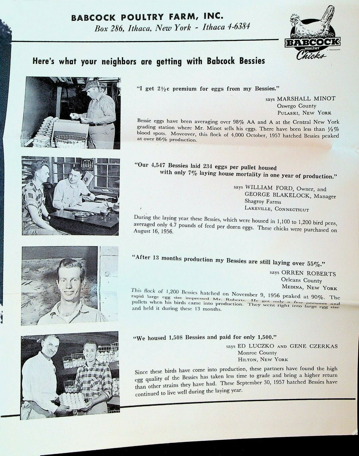 Babcock Poultry Farm 1958 Ithaca NY Ad Brochures Hens Babcock Bessies Lotties