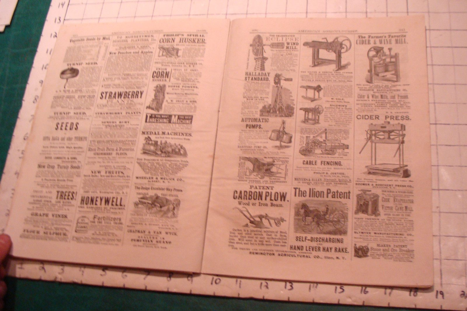 Vintage American Agriculturist 1876 august: TIGER, big puzzle, CRANDALL ADS
