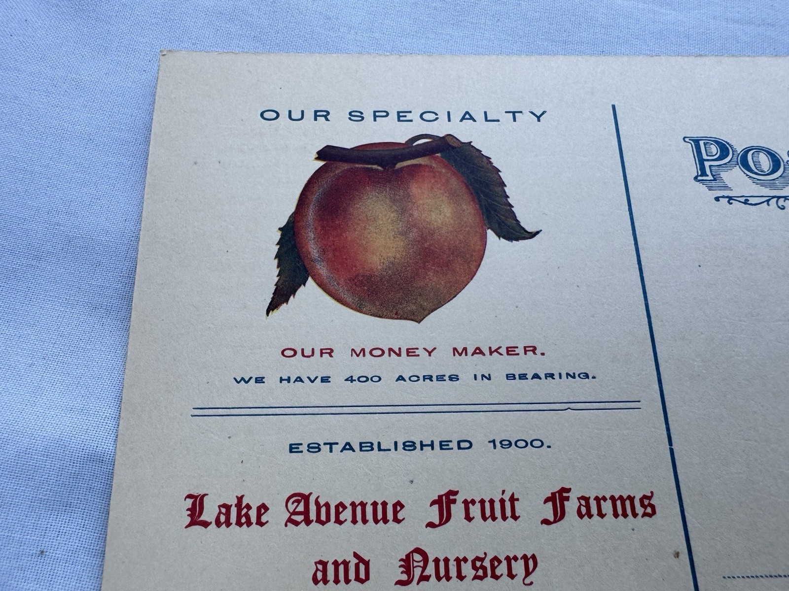 Vintage 1940&rsquo;s Sales Mailer Postcard J H Teat&rsquo;s Sons Williamson NY Peach Apple