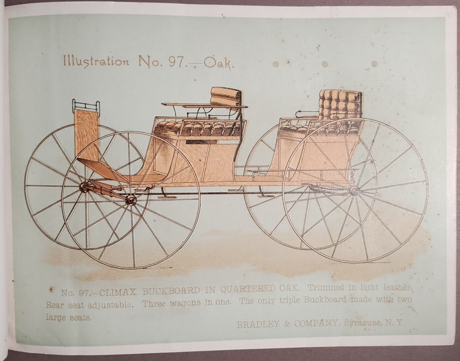 1890s Bradley & Co Syracuse Wagon Carriage Full Color Catalog Original B5-34
