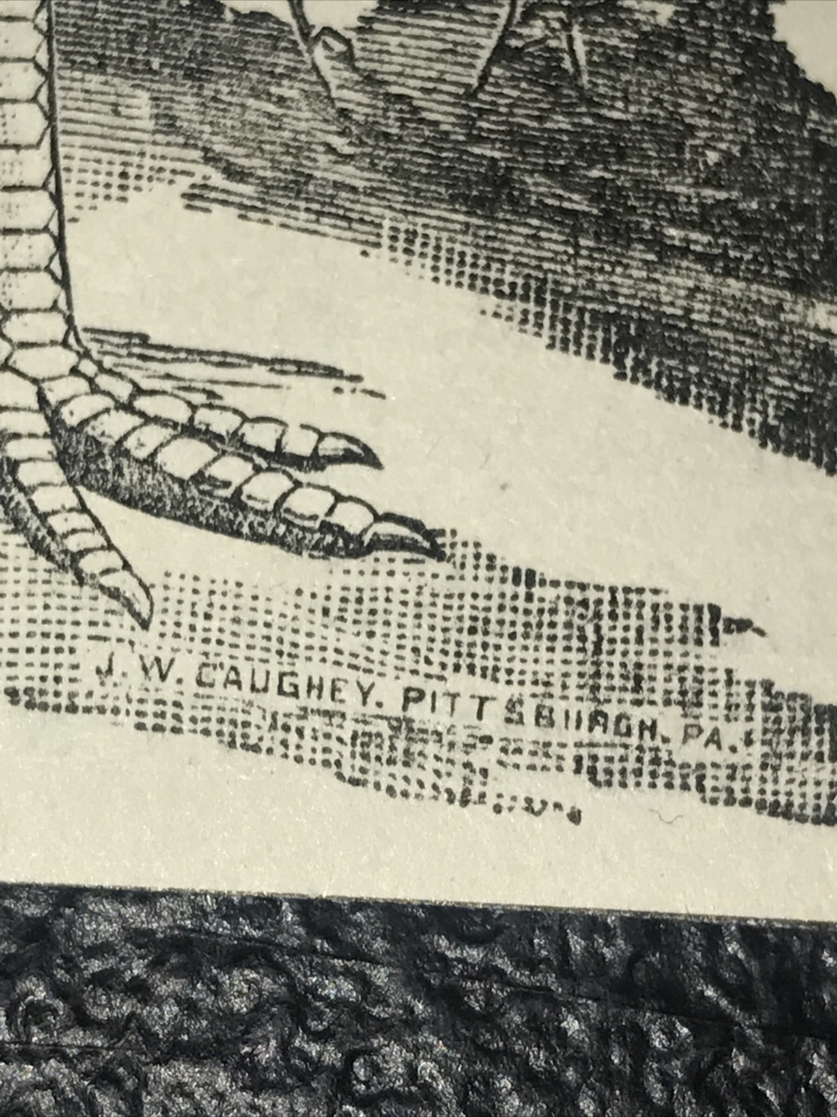 1900 Ivanhoe Poultry Yards Chicken Farm Advertising – Richmond – Virginia
