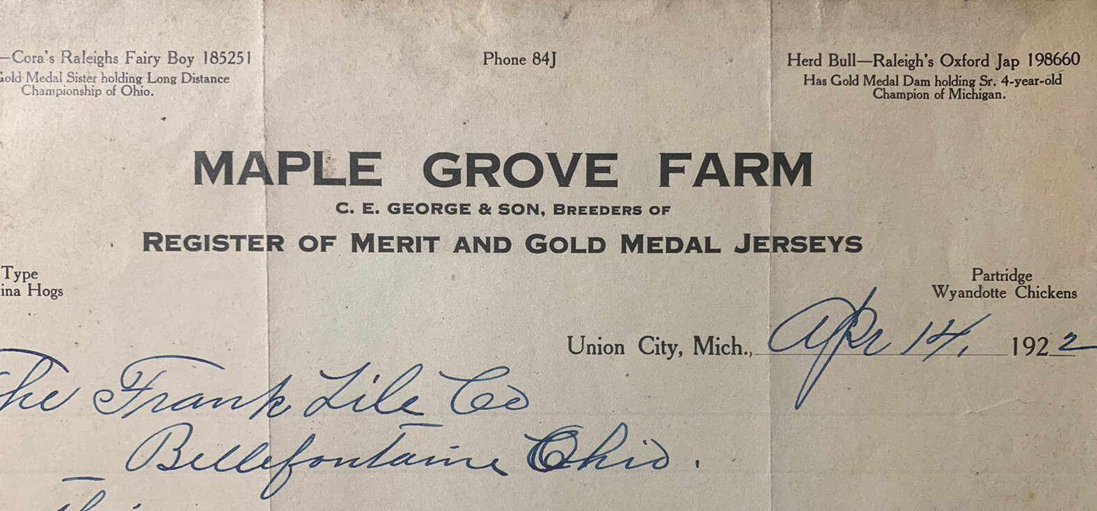 Union City Mich Advertising Letter Maple Grove Farm JerseyCattle Breeder Antique