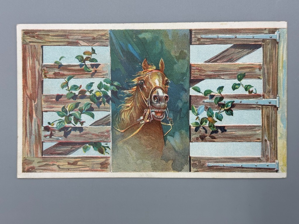 1880s EMPIRE DRILL Victorian FARM HORSE Advertising Trade Card SHORTSVILLE NY