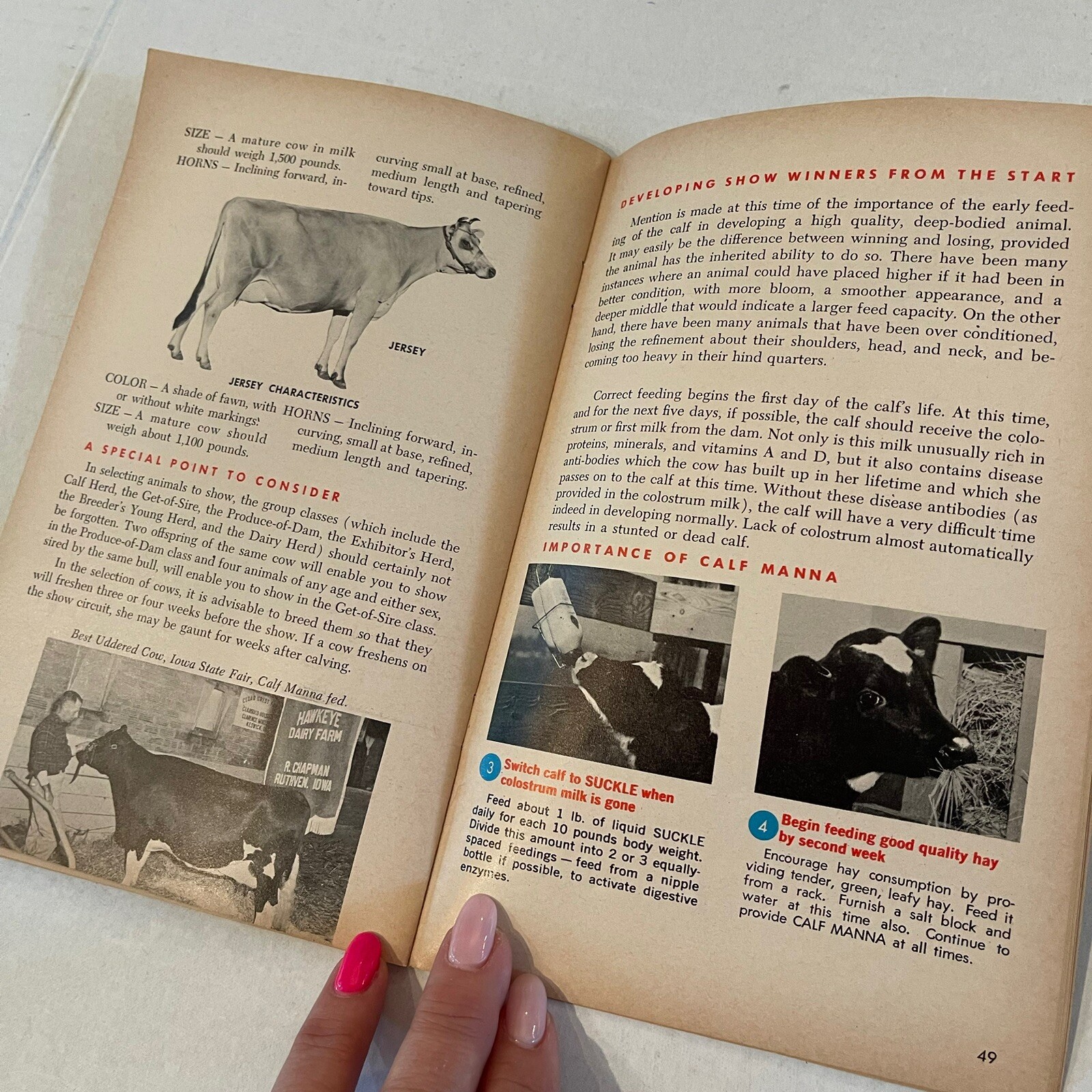 Albers Milling Company 1968 Carnation Albers Calf Plan Selecting Feeding Showing