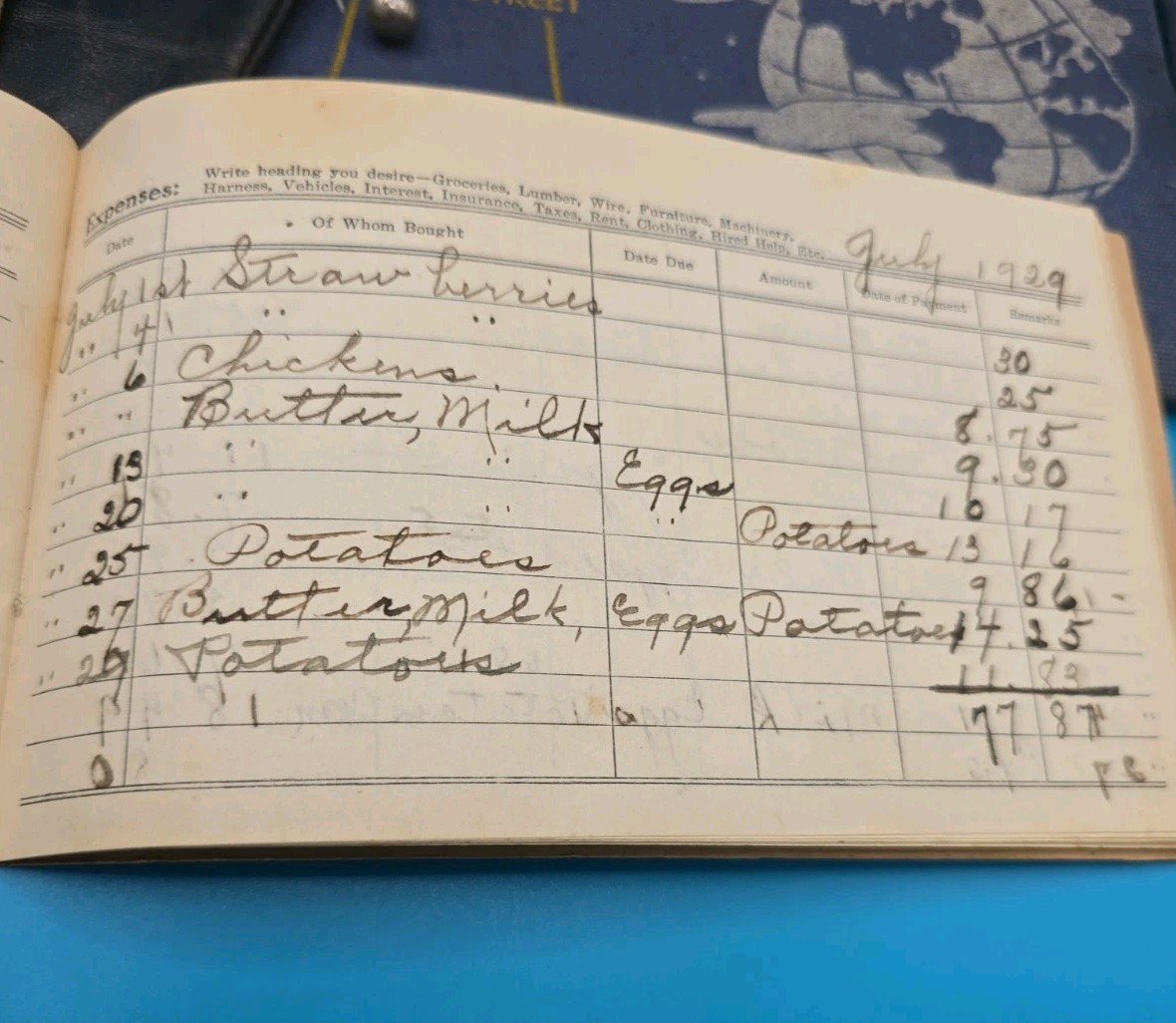1928–1929 Michigan Farm Ledger – Buttermilk, Eggs, Produce, Livestock, Cow Sale