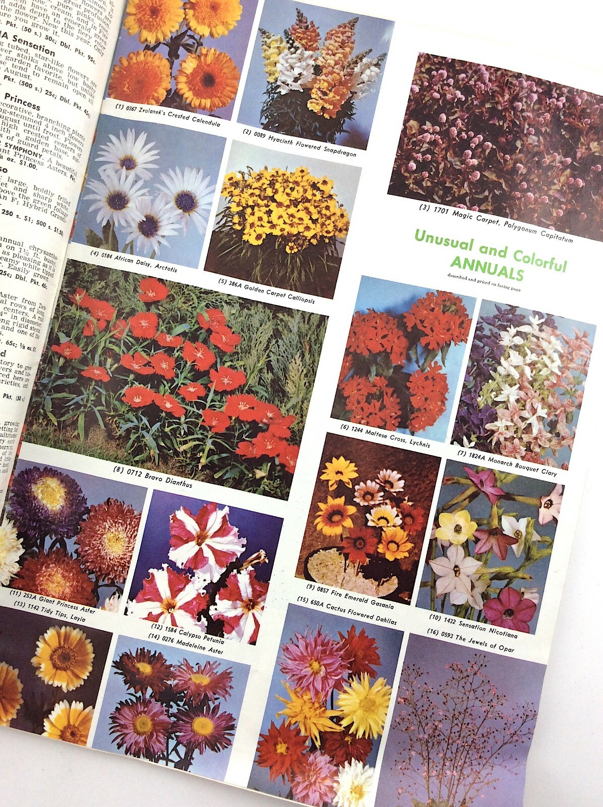 Parks Flower Book 1962 Greenwood South Carolina Garden Seed Catalog Q297