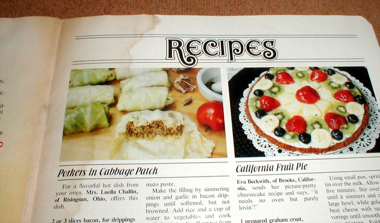 Sperry New Holland News Full Color 1981 Magazine Vol 28 No 5