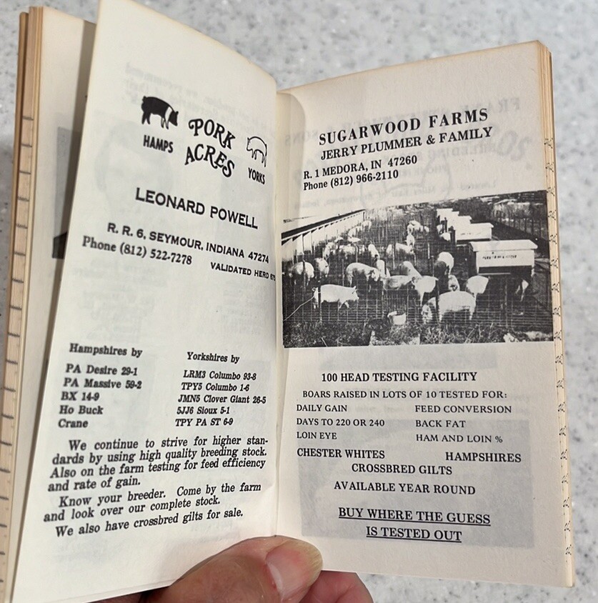 Vtg 70s Jackson County,IN~Purebred Swine Breeders Notebook~Pigs~Swine~MCM Farm