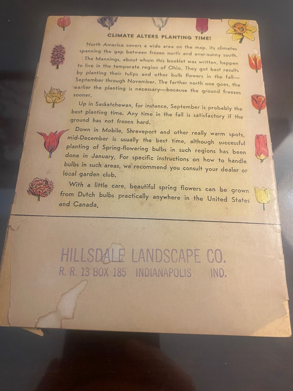 Vintage Ephemera – 1956 Bulb Magic Pamphlet – Bulb Growers Of Holland