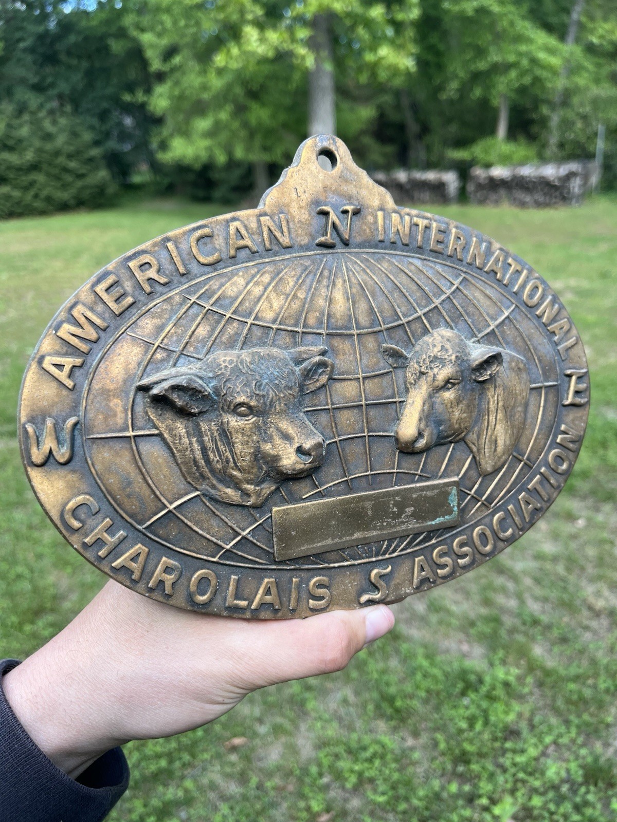 Vtg American International Charolais Association Cattle Bronze Sign Plaque Farm