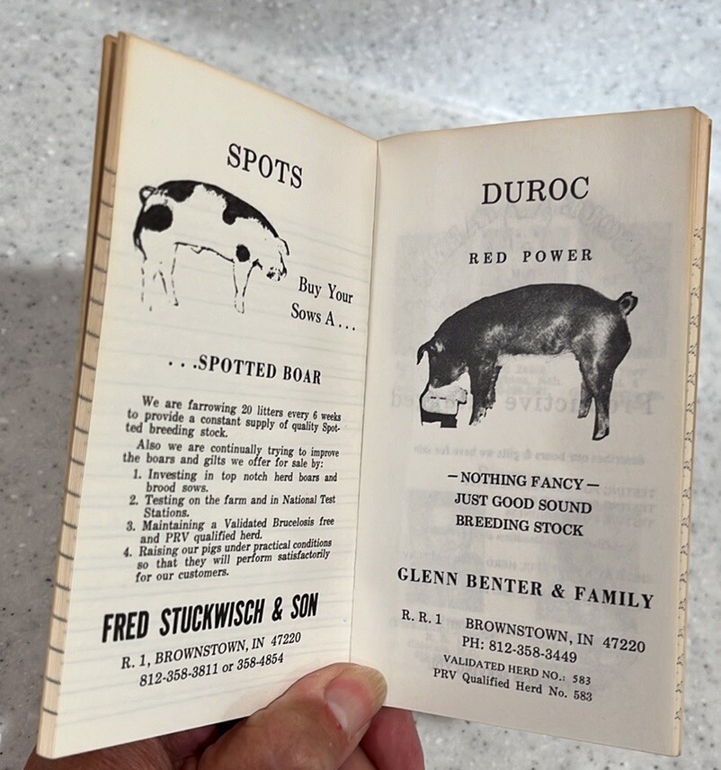 Vtg 70s Jackson County,IN~Purebred Swine Breeders Notebook~Pigs~Swine~MCM Farm