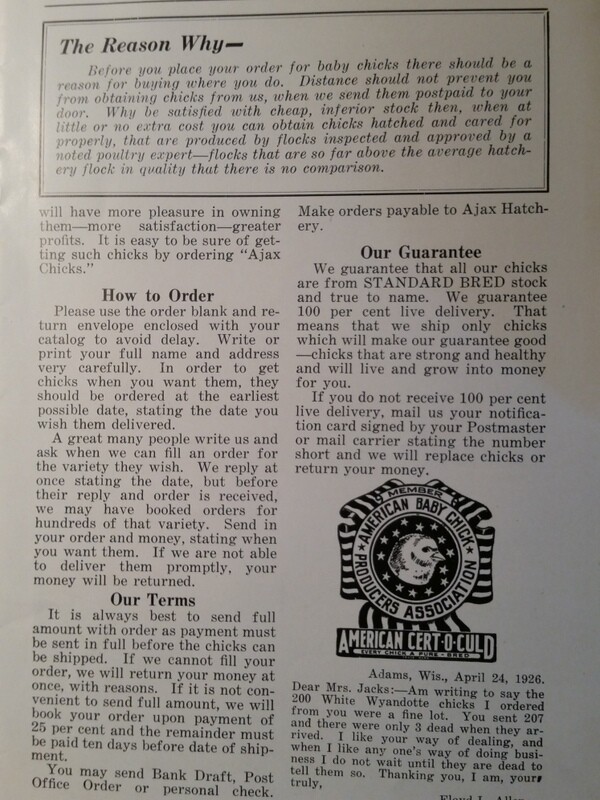 1927 Day-Old Baby Chicks Catalog Ajax Hatcheries Galesburg Quincy Illinois