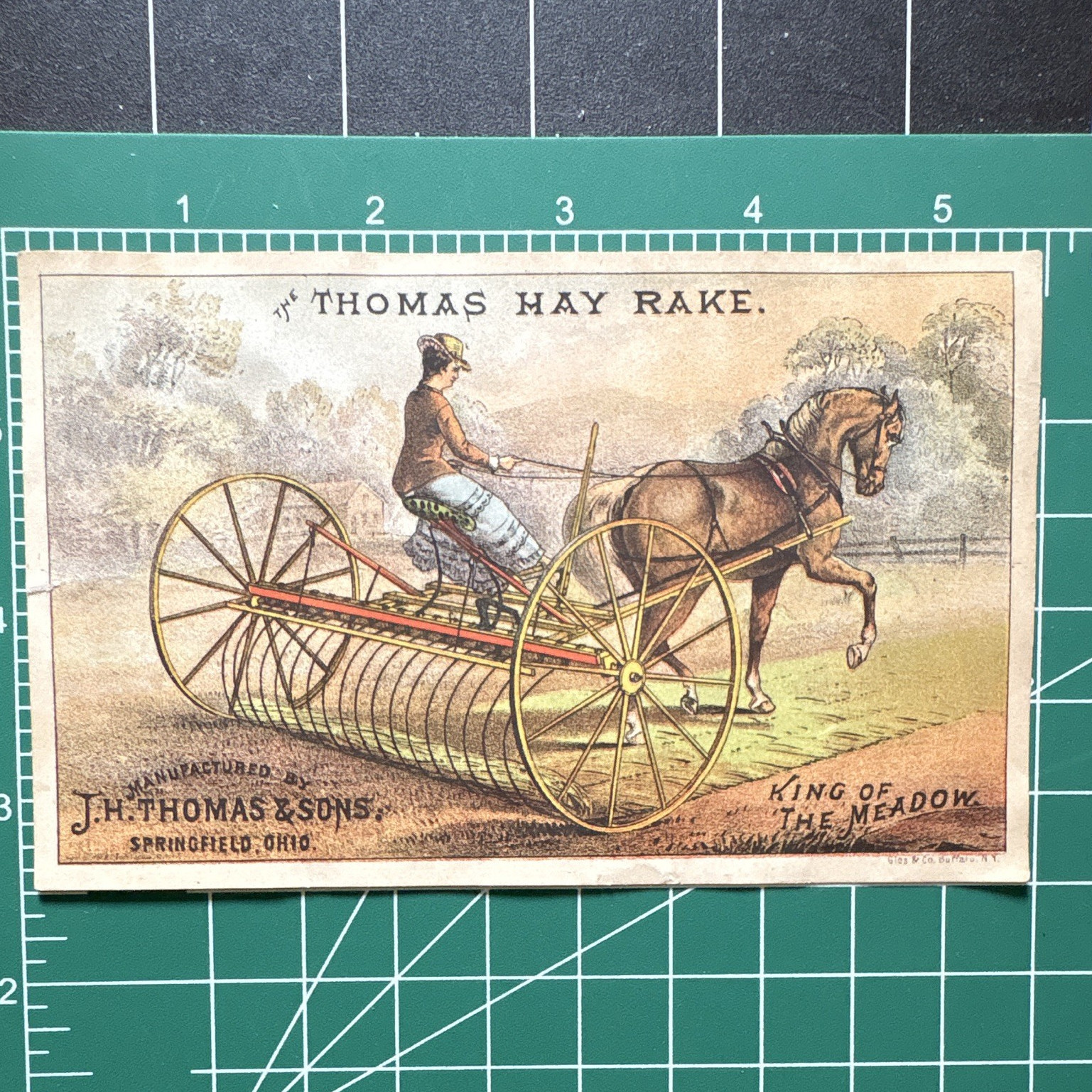 J. H. Thomas & Sons Thomas Hay Rake Agriculture Trade Card, Multicolor
