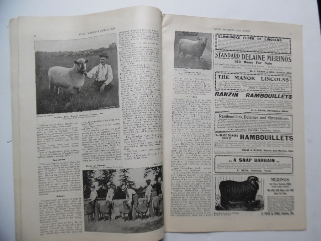 1901 Wool and Sheep Markets Journal Devoted To Sheep Cultural Pan-American Expo