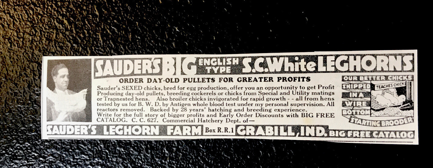 1935 Saunder’s Leghorn – Chicken Farm Advertising – Grabill – Indiana Fort Wayne