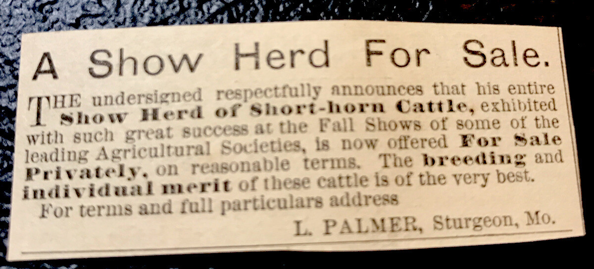 1883 L. Palmer Cattle Advertising – Sturgeon – Missouri- Cow – Farm