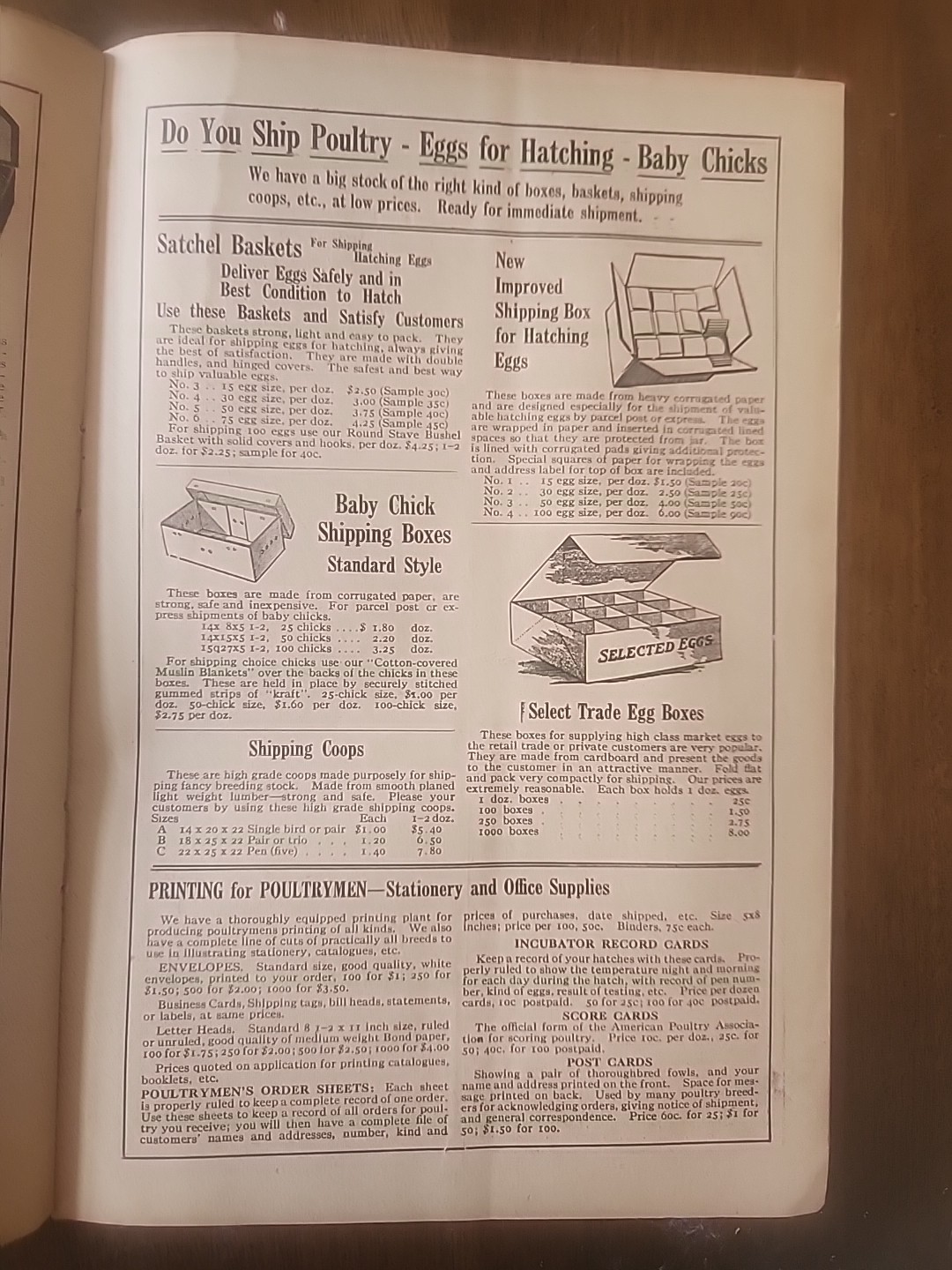 1919 Cycle Hatcher Co. Poultry Catalogue “The Profitable Home Poultry Plant”