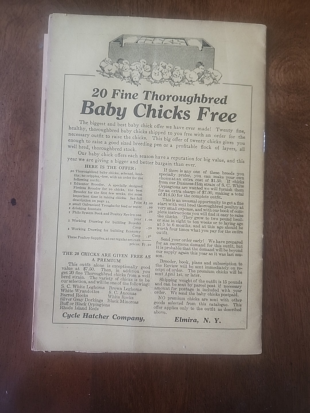 1919 Cycle Hatcher Co. Poultry Catalogue “The Profitable Home Poultry Plant”