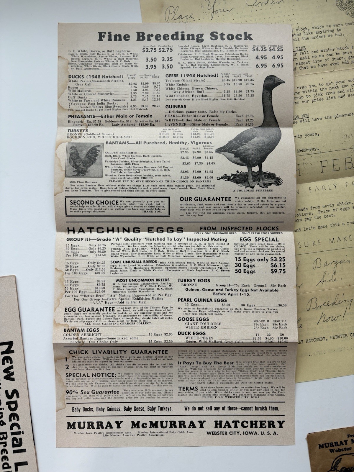 Vintage 1948 Murray McMurray Hatchery Webster City Iowa Chicks Stock Advert Lot