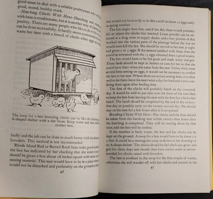1974 Starting Right With Poultry GT Klein Sixth Printing Raising Chickens