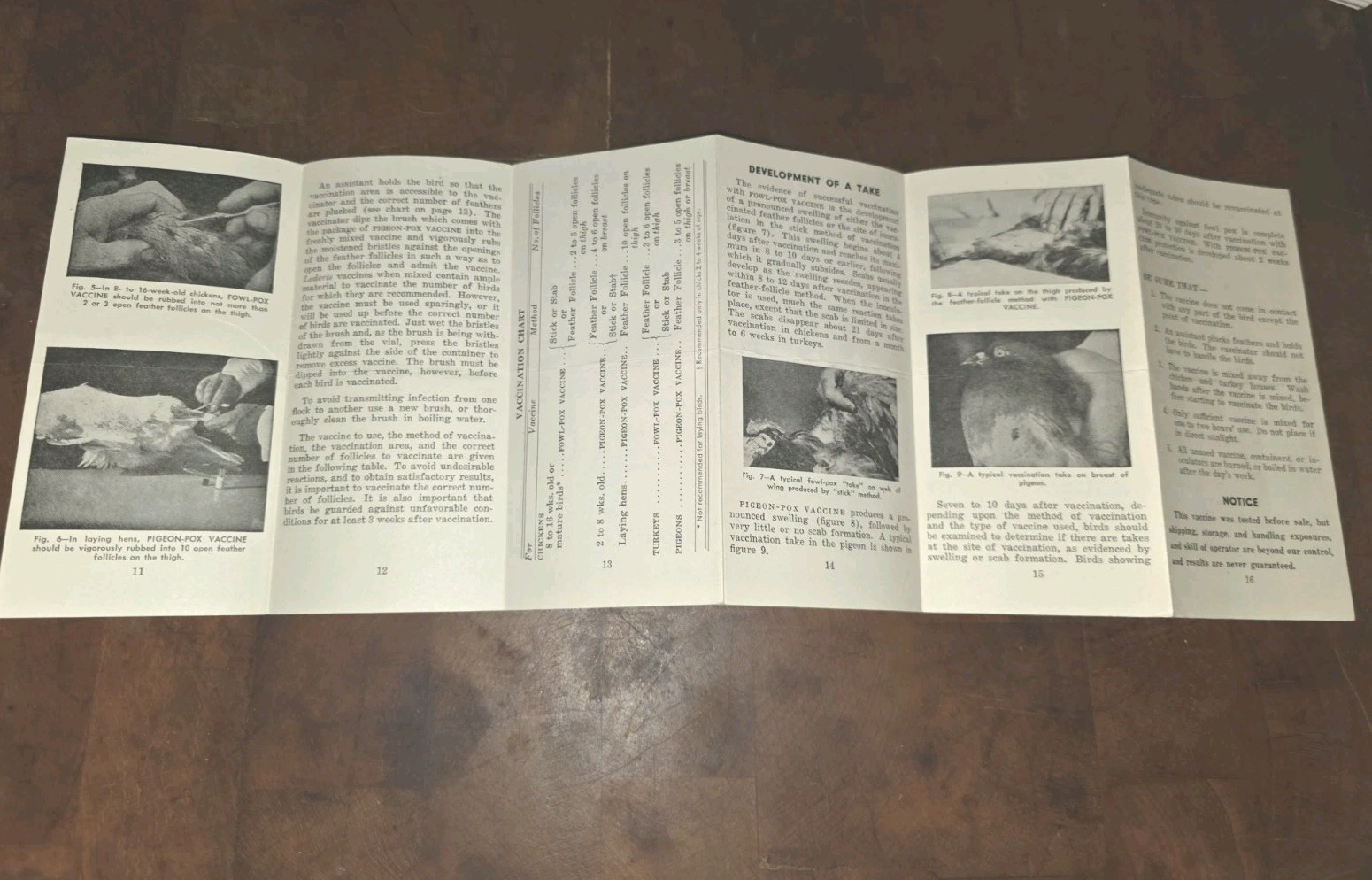 1943 Lederle Fowl-Chicken Pox Vaccine Insert Veterinary American Cyanamid