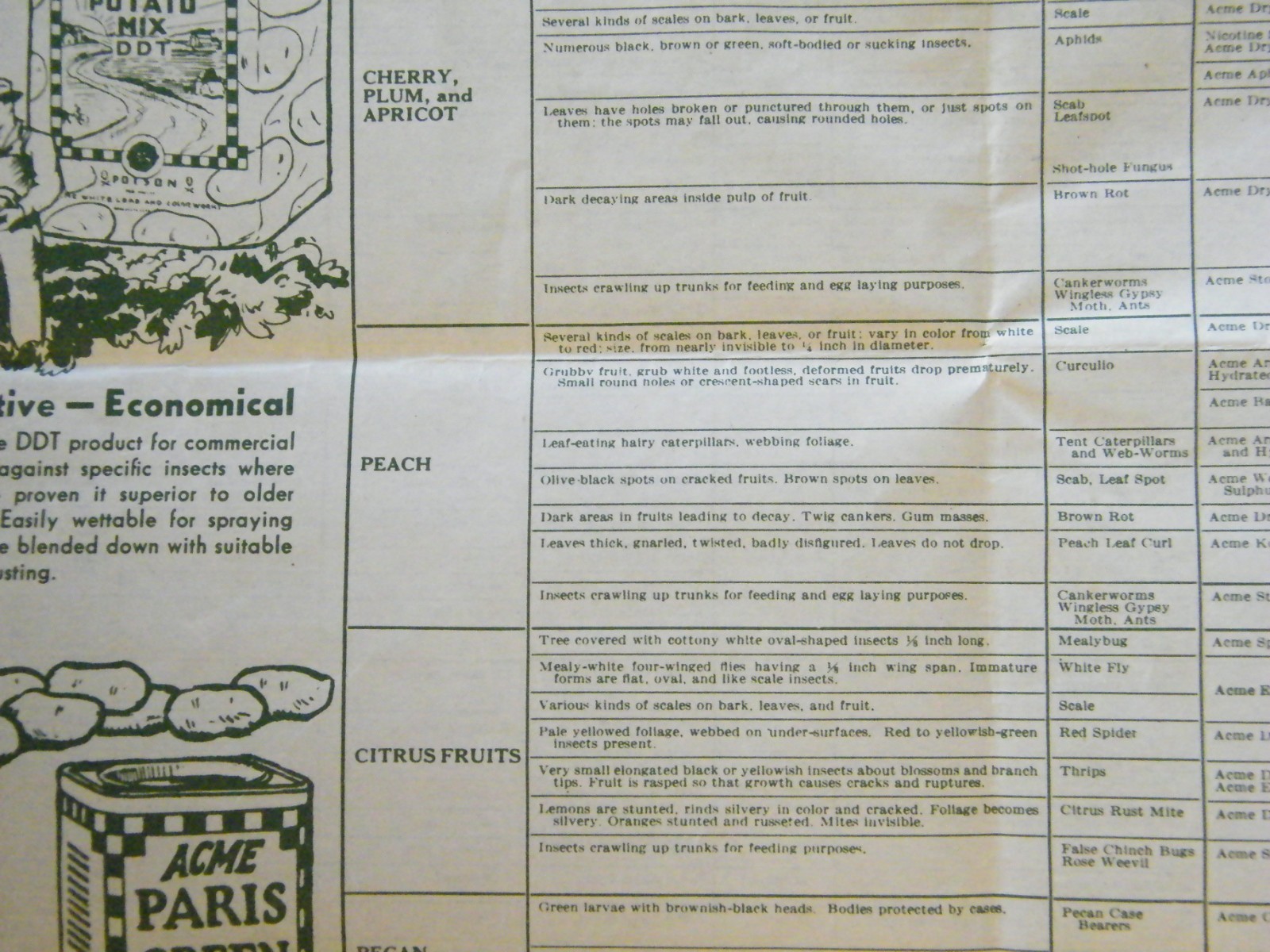 Vintage 1960&rsquo;s-70&rsquo;s Acme Spraying Dusting Guide For Gardens & Lawns Brochure