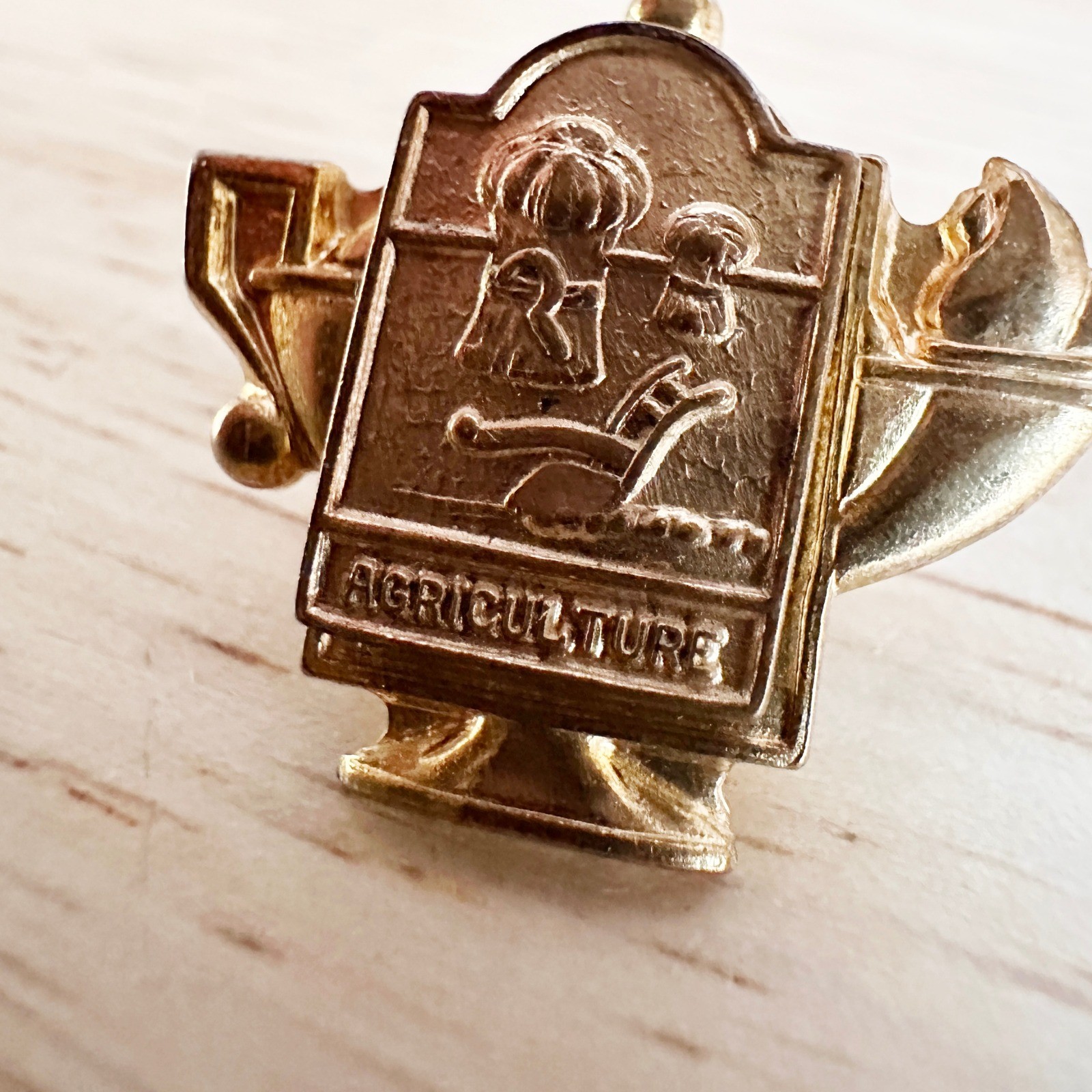 Vintage FFA Pin Lot Soil Conservation Crop Farming Agriculture 1965 CHS Pendant