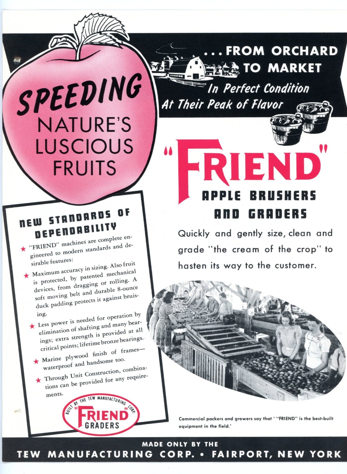 Friend Apple Brusher/Graders TEW Manufacturing Corp Fairport New York brochure