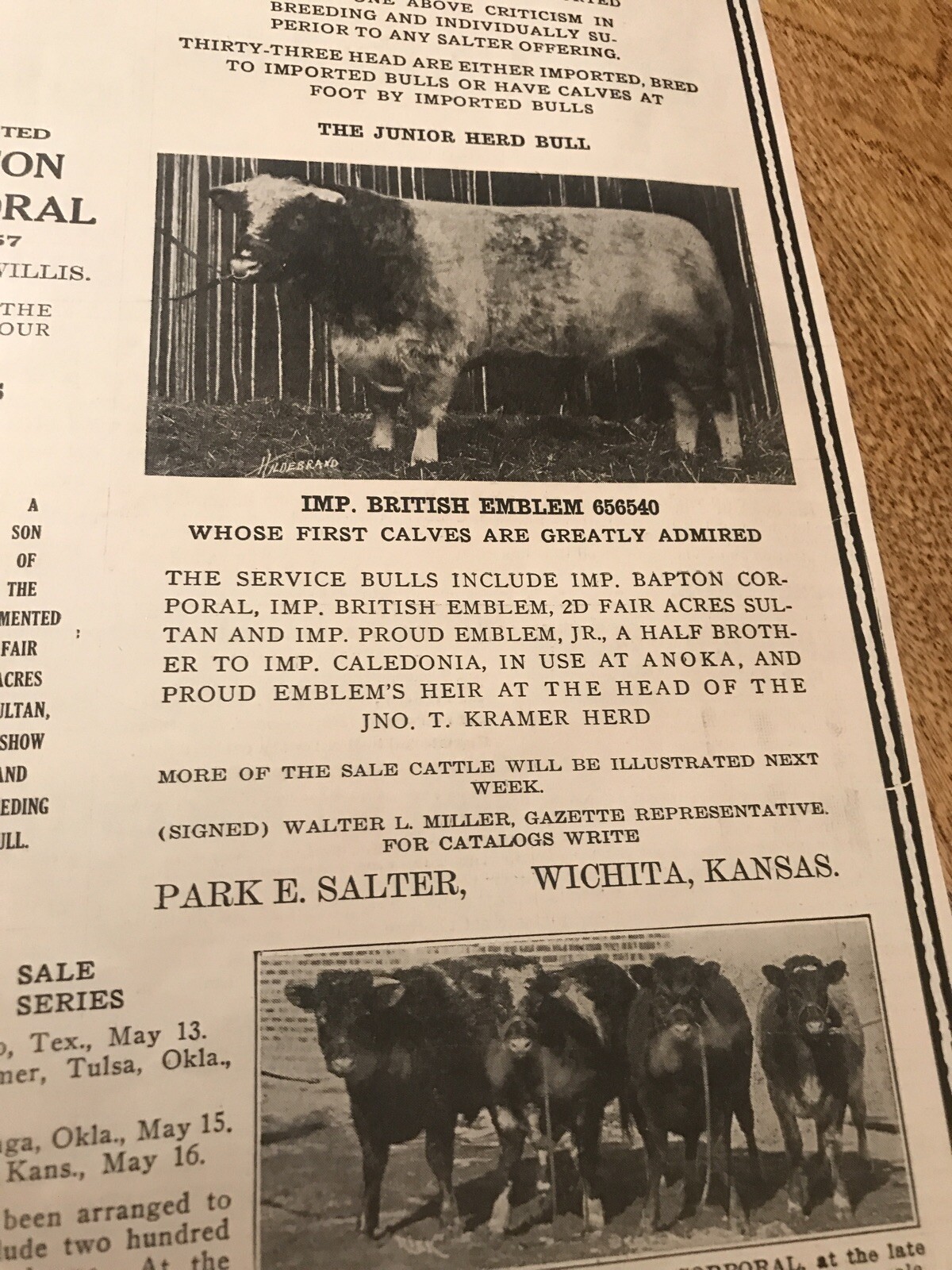 1919 Cattle Livestock Public Sale Poster – Wichita – Kansas – Cow Advertising