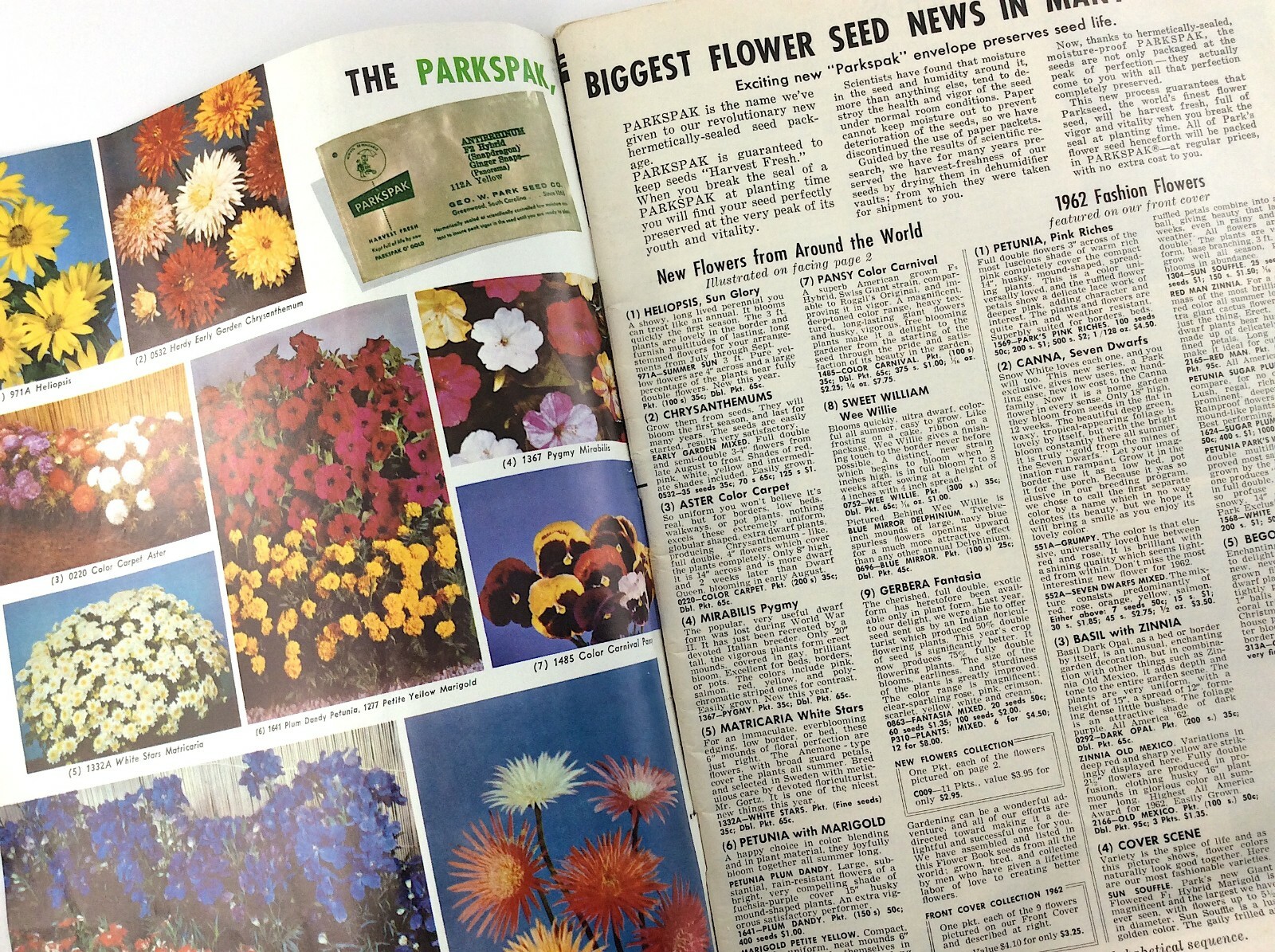 Parks Flower Book 1962 Greenwood South Carolina Garden Seed Catalog Q297