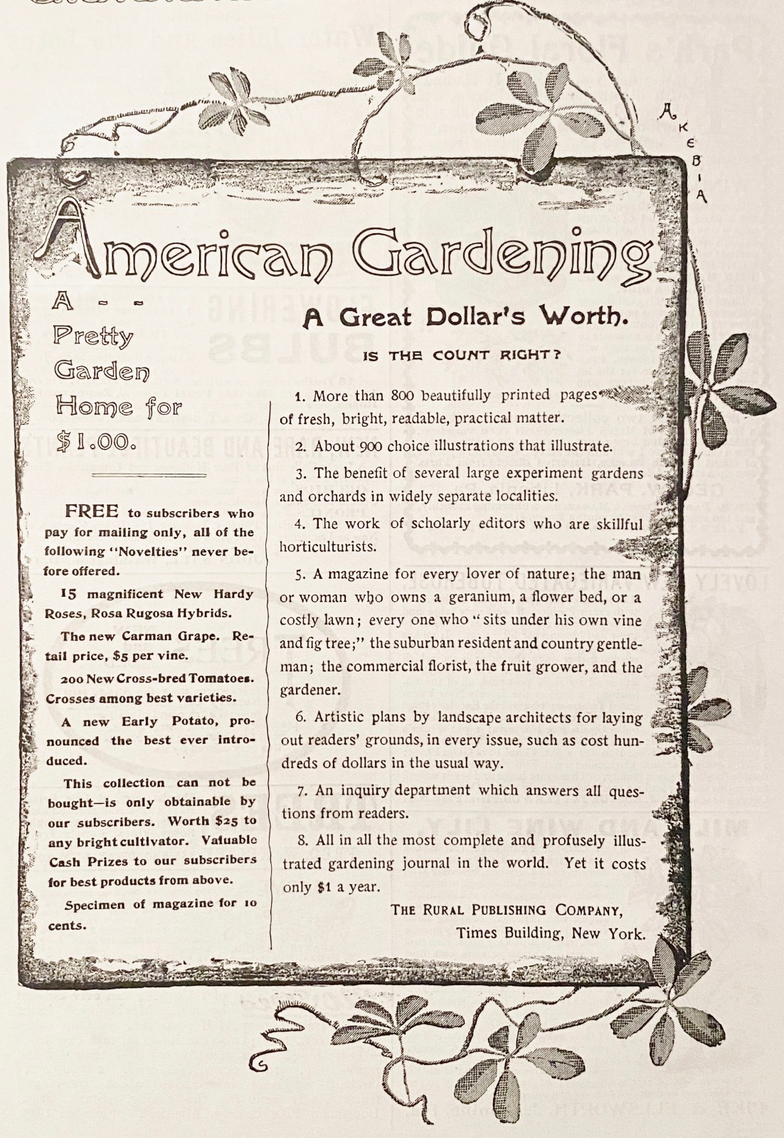 AMERICAN GARDENING Rural Publishing Co Magazine Subscription Offer1893 Print Ads