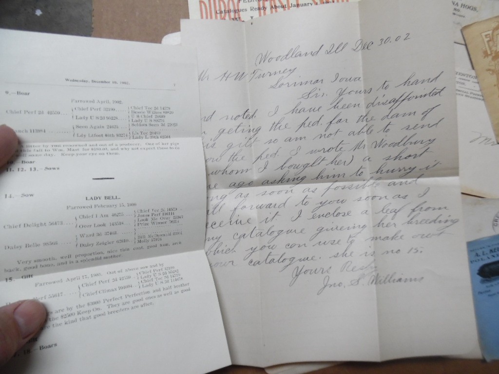 1902-1903 H W Turney Poland China Hog Breeder Archive Letters More Lorimor Iowa