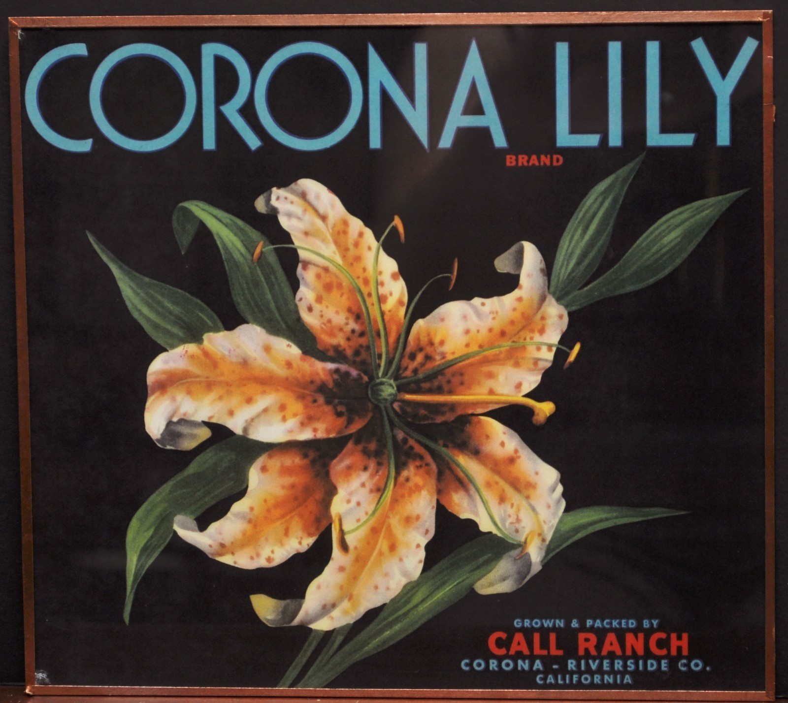 VINTAGE Framed Advertising Fruit Box CORONA LILY Fine Reproduction SIGN PRINT
