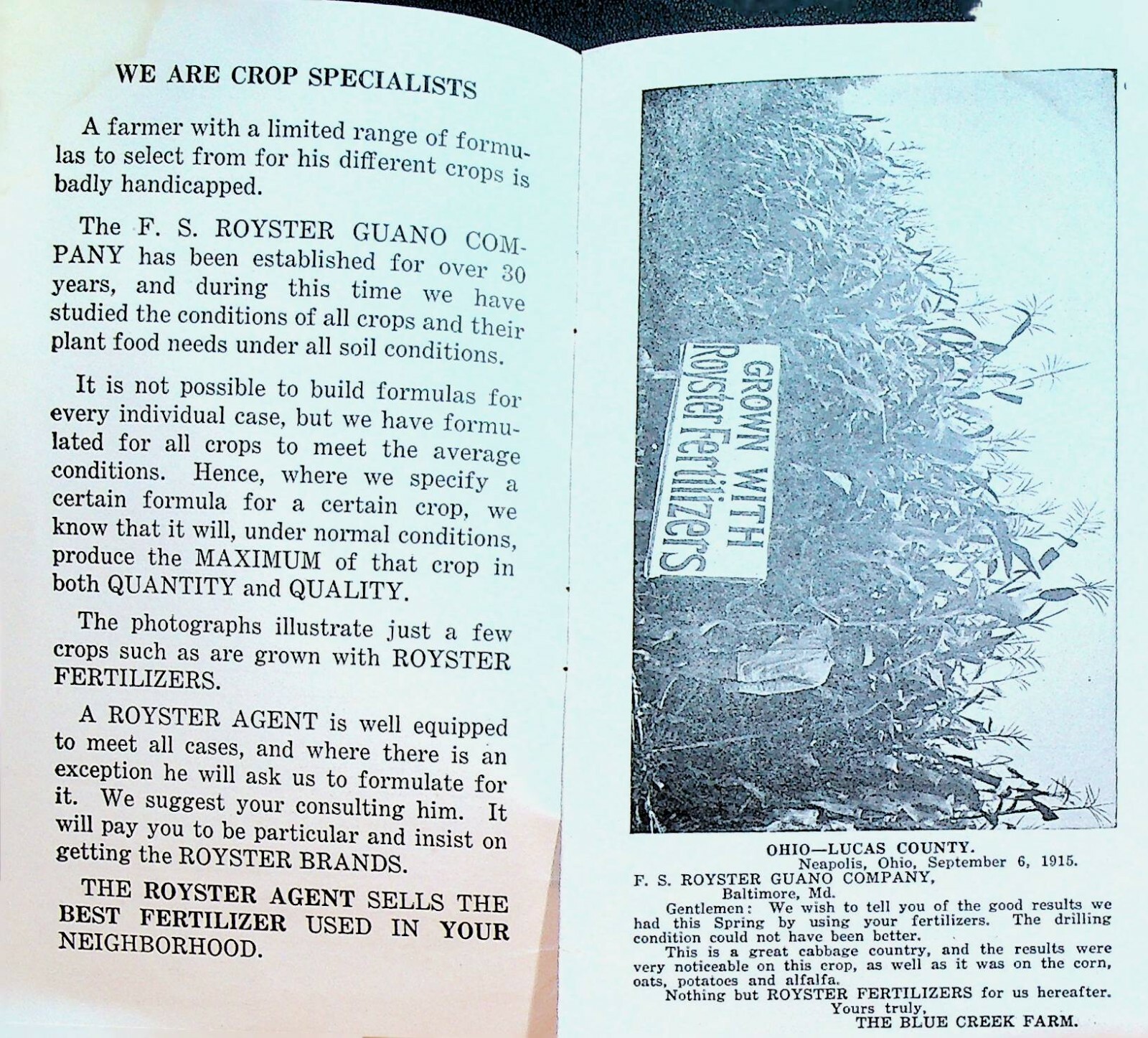 Pointers for the Progressive Farmer Royster Fertilizers 1910s East Randolph NY