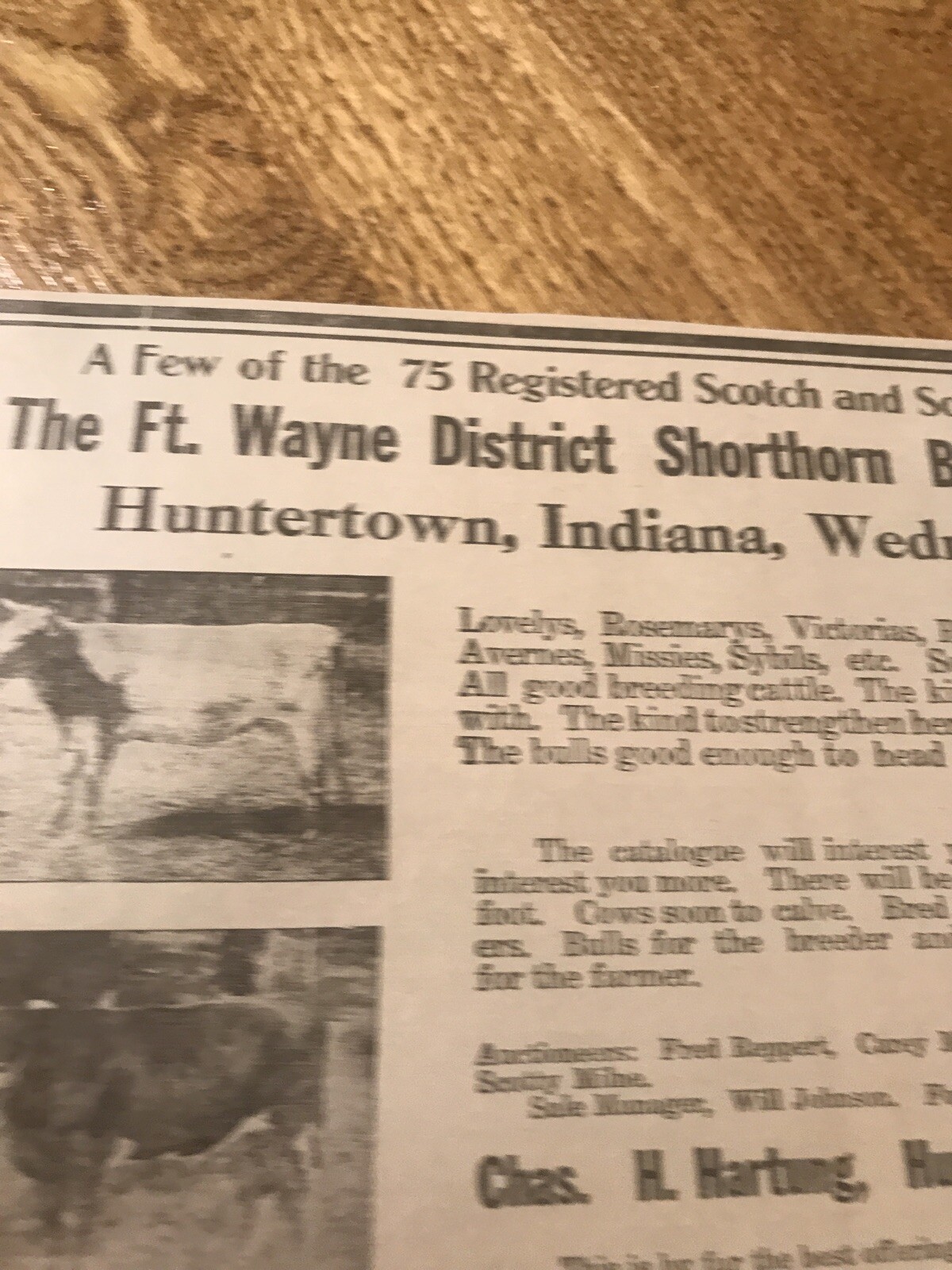 1918 Cattle Livestock Public Sale – Huntertown – Indiana – Cow Advertising