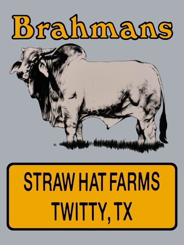 Brahman Bulls, Straw Hat Farm Twitty Texas NEW METAL SIGN: 9×12&Prime; & Free Shipping