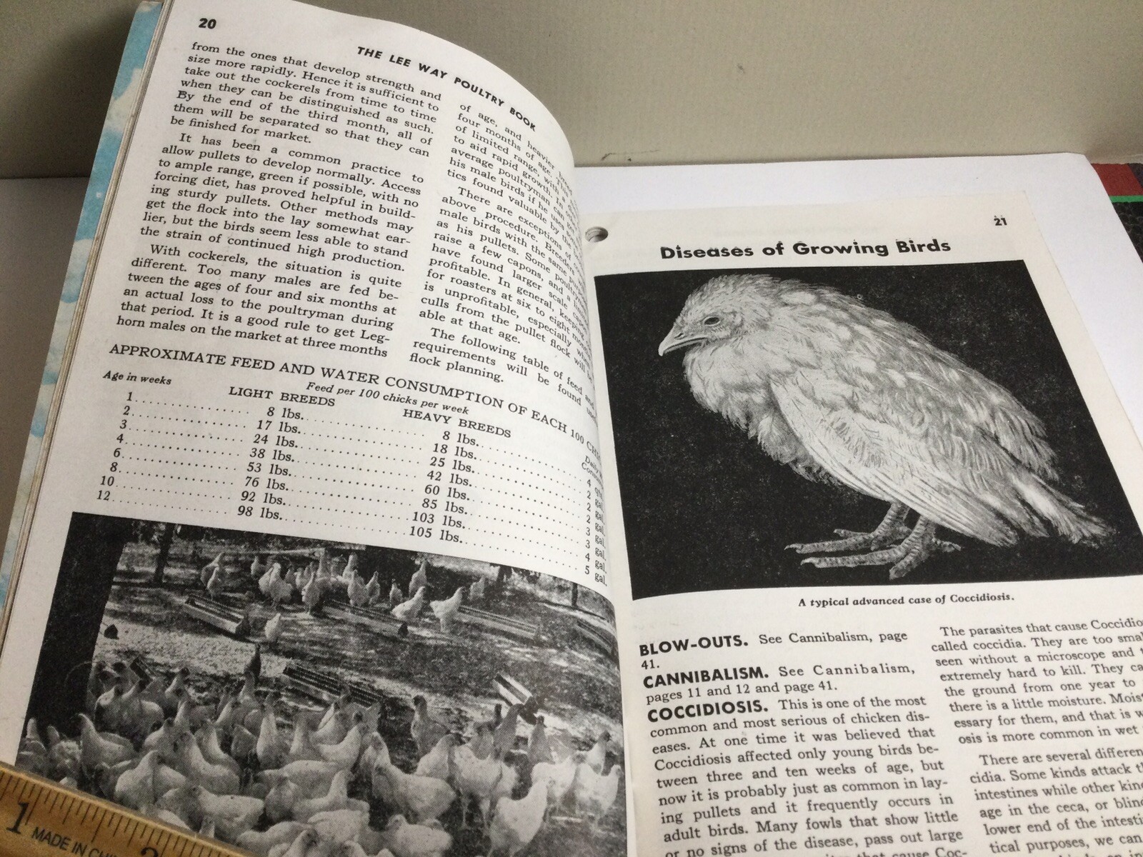 RARE 1948 “THE LEE WAY POULTRY BOOK” FARM GUIDE TO POULTRY HEALTH ILLUSTRATED