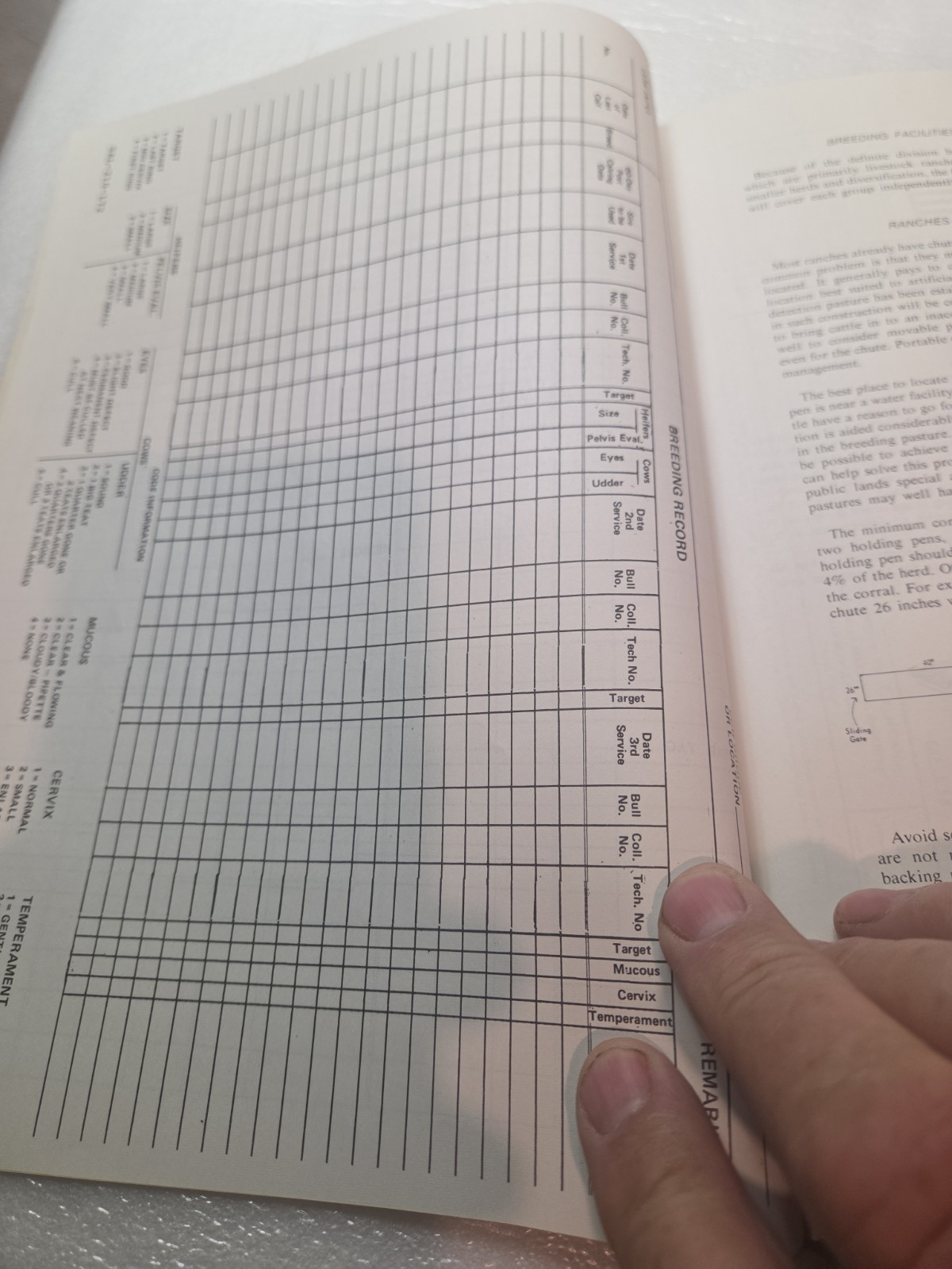 Vintage 1971 ABS American Breeders Service A I Management MANUAL