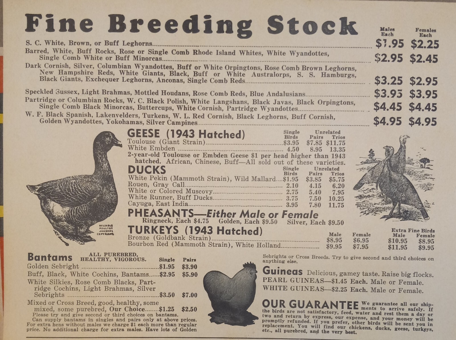 Vtg 1944 Murray McMurray Hatchery Webster City Ia Catalog Order Form Price List