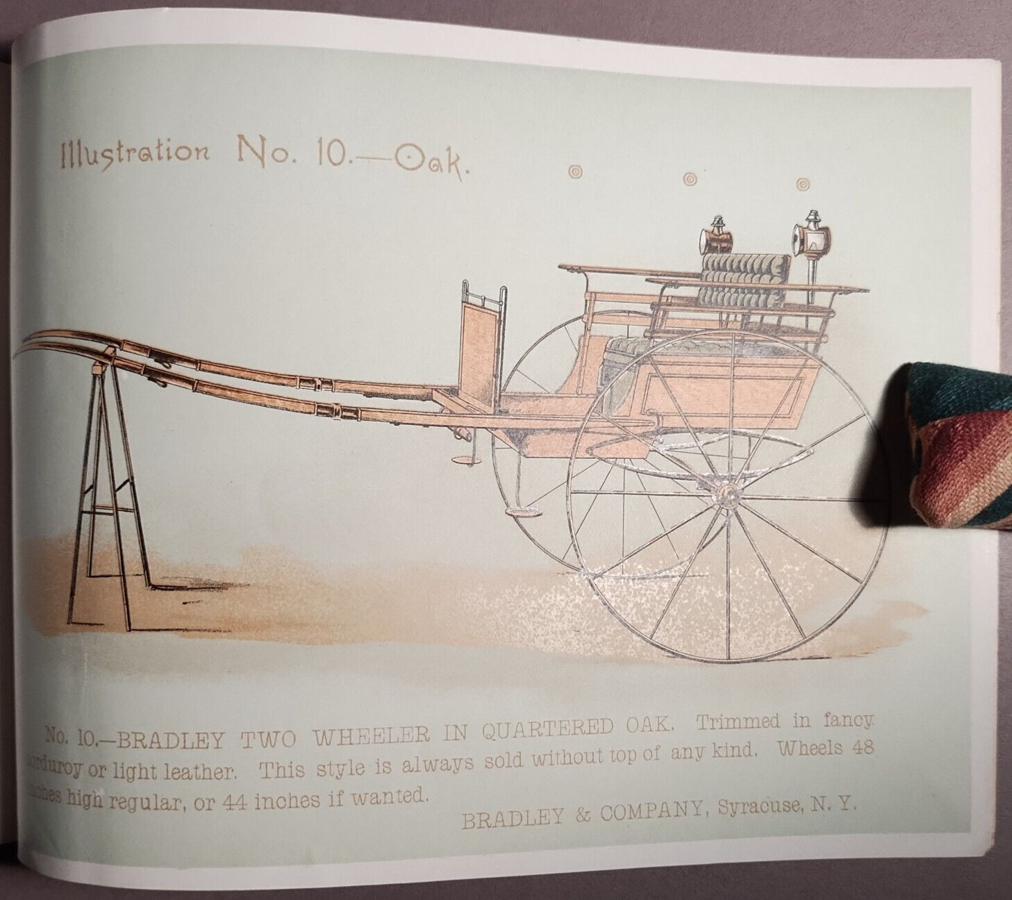 1890s Bradley & Co Syracuse Wagon Carriage Full Color Catalog Original B5-34