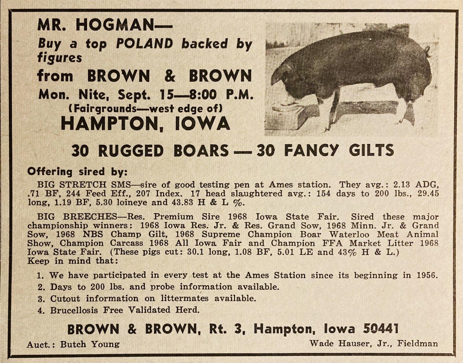 1969 AD.(XH79)~BROWN & BROWN POLAND SALE, HAMPTON, IOWA. BOARS AND GILTS