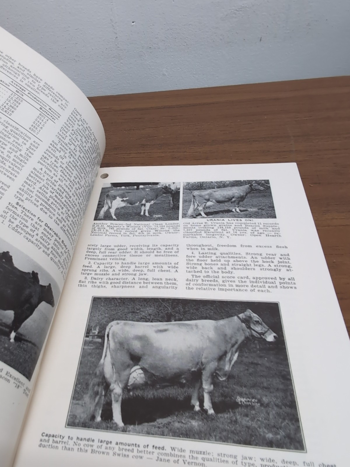 Vintage Profitable Dairy Management 10th The Beacon Milling Company Inc Guide