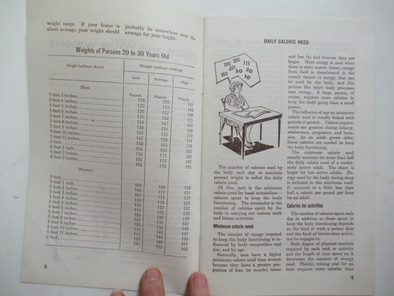 Vintage 1964 Food and Your Weight Booklet 74 – U.S. Department of Agriculture