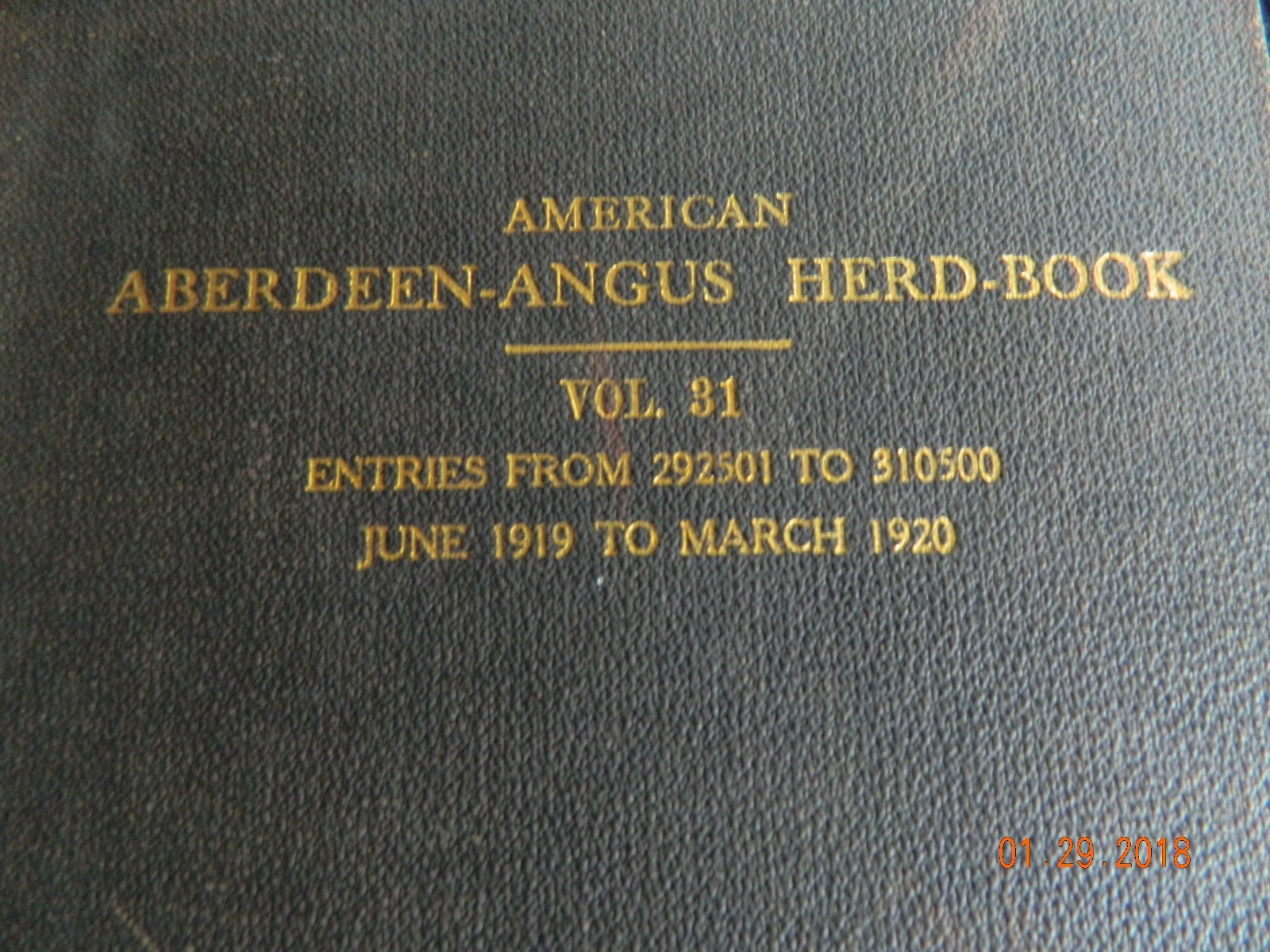American Aberdeen-Angus Herd Book Vol 31 Original Hardcover RARE VINTAGE 1919