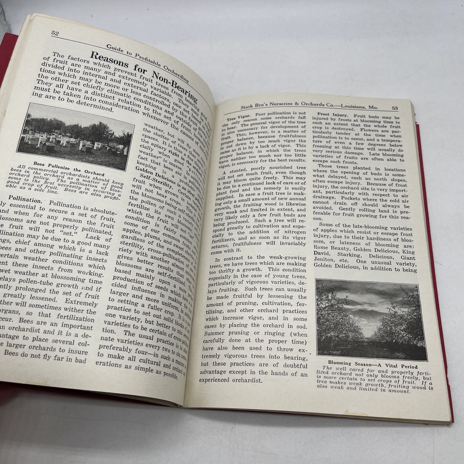 1928 Stark Bro&rsquo;s Guide to Profitable Orcharding 128 Pages of Info and Pictures