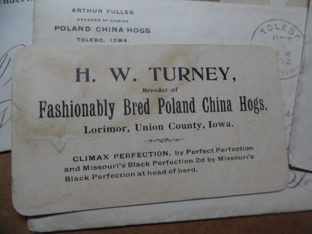 1902-1903 H W Turney Poland China Hog Breeder Archive Letters More Lorimor Iowa