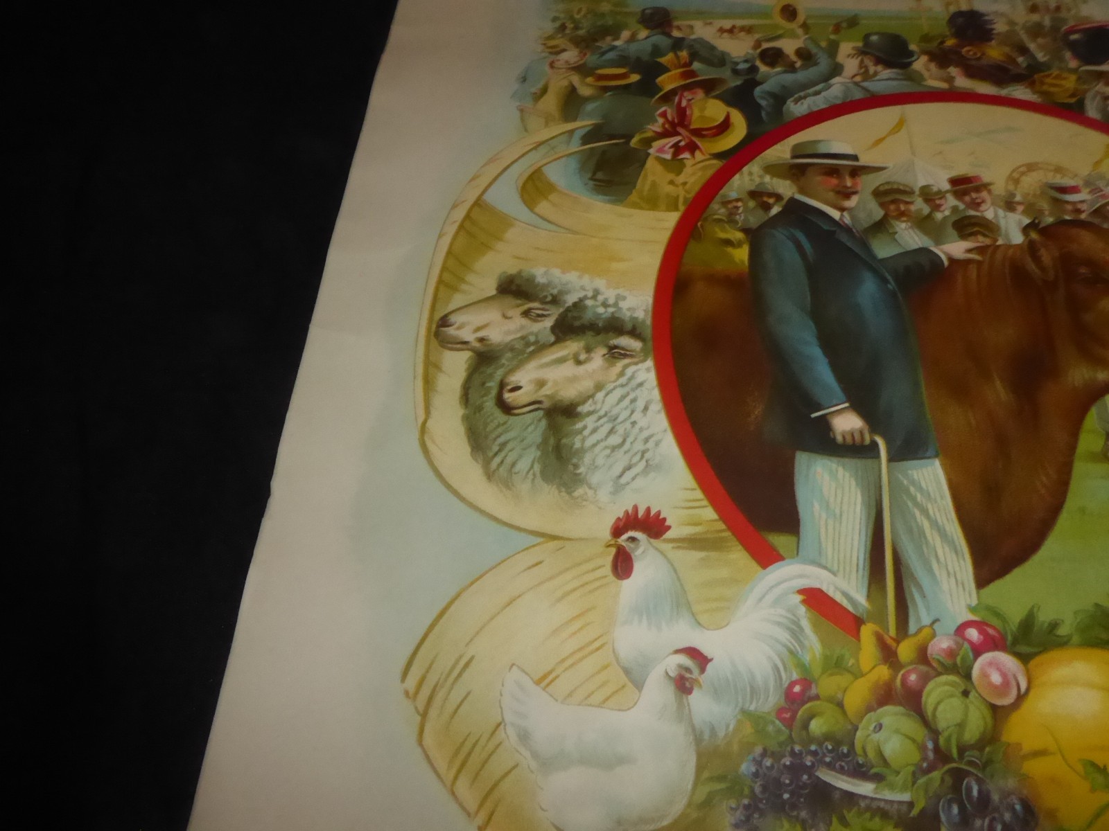 ORIGINAL ANTIQUE 1900 STONE LITHO HAYES STATE FAIR LIVESTOCK HORSE RACING POSTER