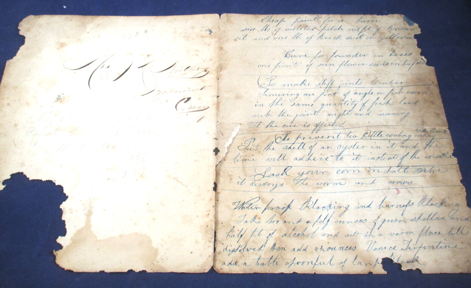FARMING HISTORY – SALE of CALF – FARM TIPS DOCUMENT – “1888 “ BILL OF SALE