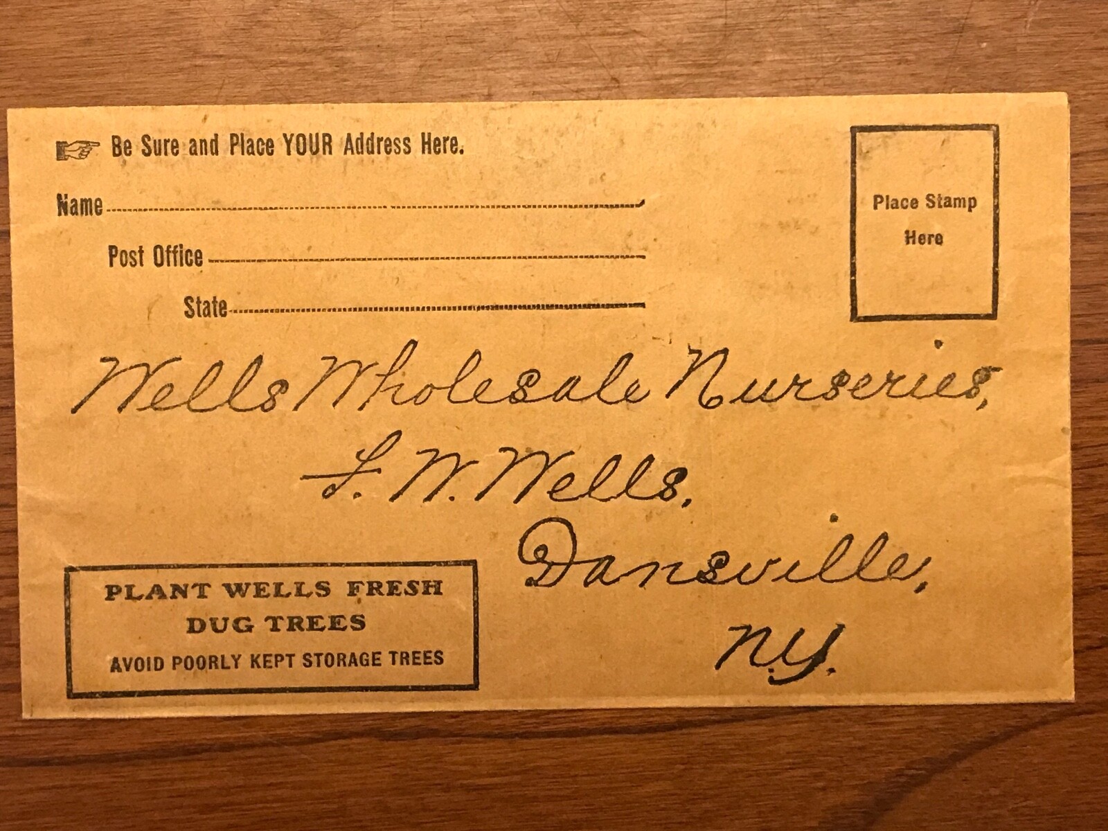 Wells Wholesale Nurseries 1915 Catalog Dansville NY w/Order Form & Envelope 10×7